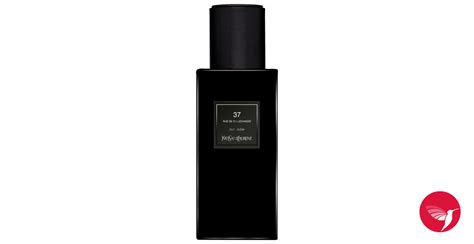 37 rue de Bellechasse Yves Saint Laurent for women and men